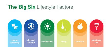 アンチエイジング プログラム