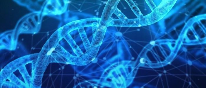 アンチエイジング プログラム